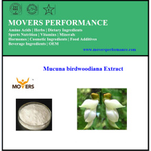 Guter Preis hohe Qualität Mucuna Birdwoodiana Extrakt (Stiel)